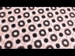 Kütle Stok Suda Çözünür Dantel Trim Gipür Nakış Dantel Trim kumaş